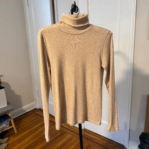 Everlane Luxe Rib Turtleneck size M